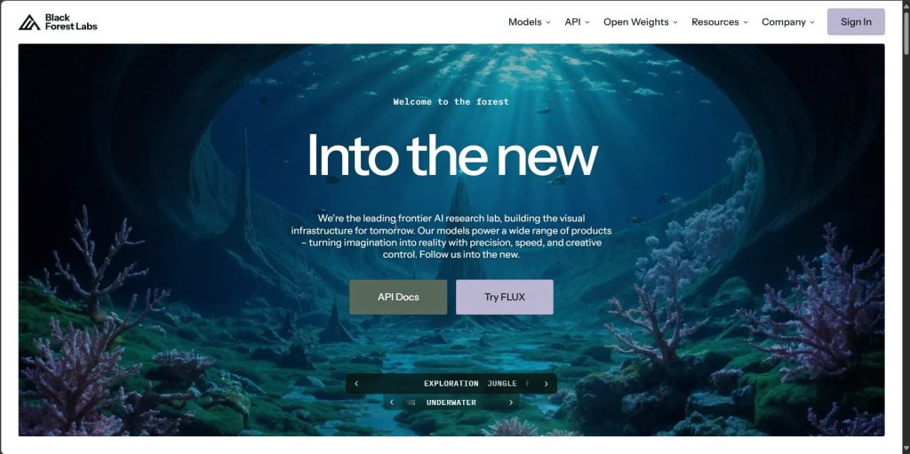 Flux Black Forest Labs