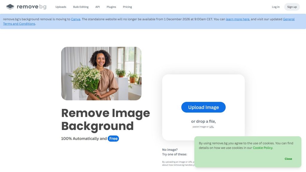 Screenshot da interface de Remove.bg